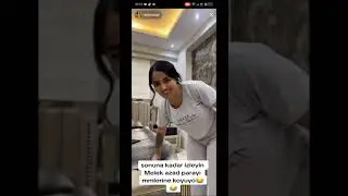 Melek azad sergide