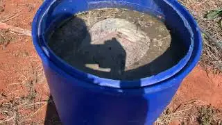 Building an orchard on rocks