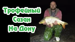 Сазан на Дону / Поимка трофейного сазана / Сазан на реке / Рыбалка на Дону / Рыбалка в Черте Города