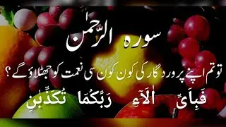 No 55 Surah Rahman, beautiful voice urdu translation and tafseer