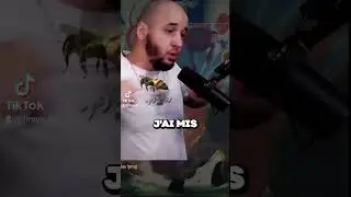La bagarre contre les guêpes 💥