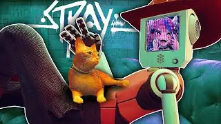 I Tamed a Stray Cat!