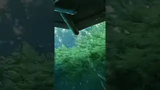 Встретимся когда пойдет дождь.... 