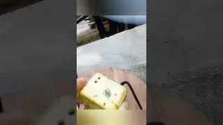 Speed Test