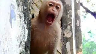 OMG!