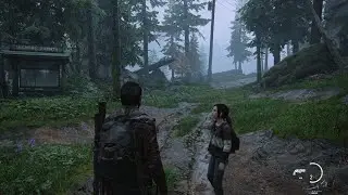 TLOU 6