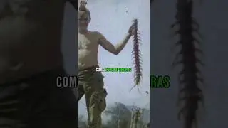 El trabajo más aterrador de la historia 
