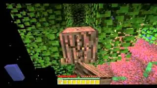 Really, Minecraft?