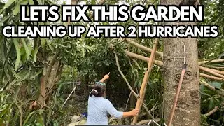 Family Cleanup Day: Restoring Our Hurricane-Damaged Tampa Garden