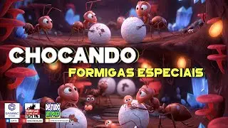 CHOCANDO FORMIGAS ESPECIAIS