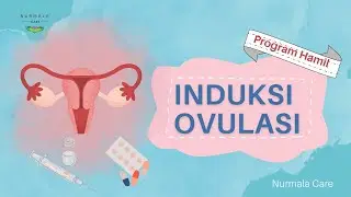 Program Hamil induksi ovulasi | Promil 2023