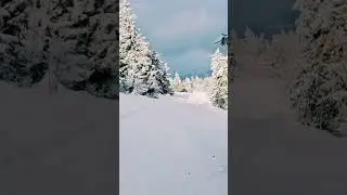 г.Тростяна 21.01.2024