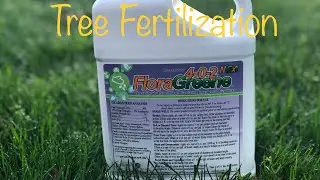 Tree Fertilization | 4-0-2 FLORA GREENE | Tree Caliper