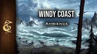 Windy Coast | Sea, Waves Crashing, Seagulls, Nature Ambience | 1 Hour 