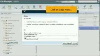 How to copy and move files in File Manager