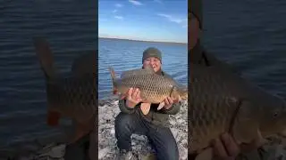 Отпустил карпа 8,8кг 