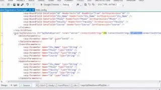 7 Presenting data into asp.net Pages