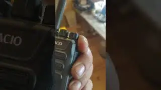Рация Рацио)