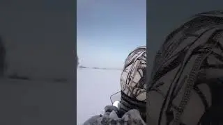 снегоход, зимняя охота