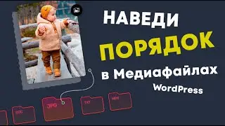 Скачиваем бесплатно продукты Envato. Сентябрь 2021 ➤ Mediabay - наводим порядок в Медиафайлах