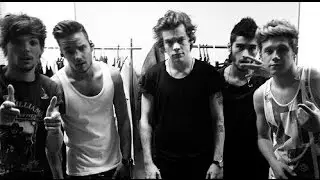 One Direction || Dangerous Gang