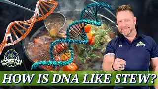 WHY SIBLINGS HAVE DIFFERENT DNA! HISTORY & GENEALOGY STEW!