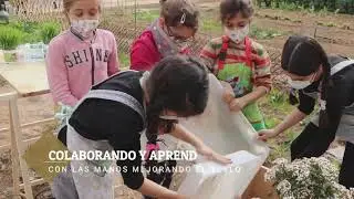 TALLER DE CONSTRUCCIÓN Y MANTENIMIENTO DE UN BANCO DE INÓCULO