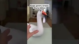 Шлёпа лох, а гусь НЕ лох. Корги - просто жирный МОХ! 