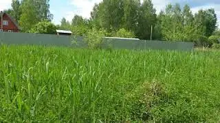Участок 8 соток, деревня Алексеево. Горьковское шоссе 50 км от МКАД.