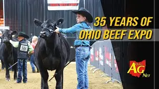 35 years of growth for the Ohio Beef Expo