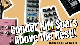 Why I'm NEVER Getting Rid of the Condor HiFi! Is It Really Better Than 1981, TS, KoT, Hotcake???