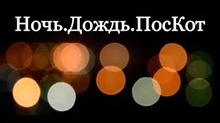 Ночь.Дождь.ПосКот (Test)