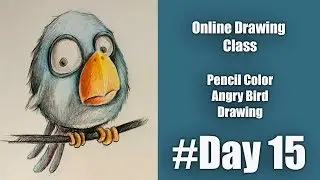 Drawing Class for Beginners | Day 15 | How to draw Bird | Sketching Fundamentals | 
