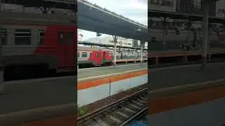 Поезд Владивосток - Хабаровск. Домой в Хабаровск. #поезд #train #владивосток #хабаровск