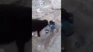 Неравный бой
