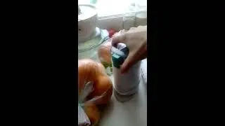 МОЙ ВЫХОД ИЗ ГОЛОДАНИЯ ОЧИЩЕНИЕ ПО МАРВЕ ОГАНЯН аллергия нейродермит атопический дерматит