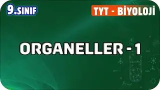 Organelles - Part 1 | Grade 9 Biology 