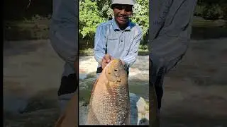 Di luar dugaan, ikan ini bisa hidup di air tawar Sungai arus deras