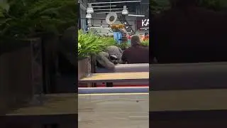 ЕСЛИ НЕ ЛЮБИШЬ ЕСТЬ ОДИН