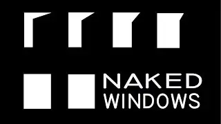 Naked Windows 2010