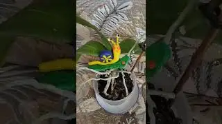 Равлик з пластиліну