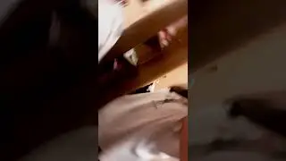 Анонимуус?