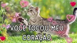 O MEU CORAÇÃO E TEU♥Mensagem Apaixonada WhatsApp