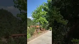 Doğanın İçine Saklanmış Harika Bir Taş Evi Geziyoruz