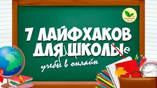 7 лайфхаков для успешного обучения в онлайне