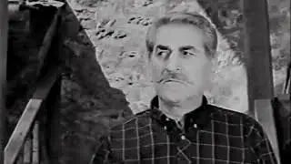 AT AVRAT SİLAH YILMAZ GÜNEY