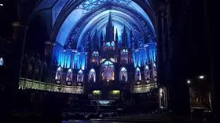 An Aussie In Notre Dame Basilica!!