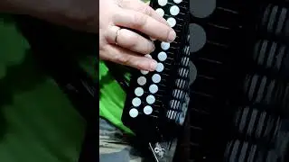 как быстро научиться играть  на гармони три аккорда 300 песен Яблочко 