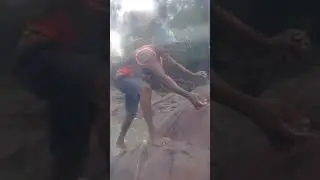 Gavião se enrolou na rede, veja o resgate
