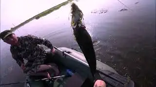 Змееголов